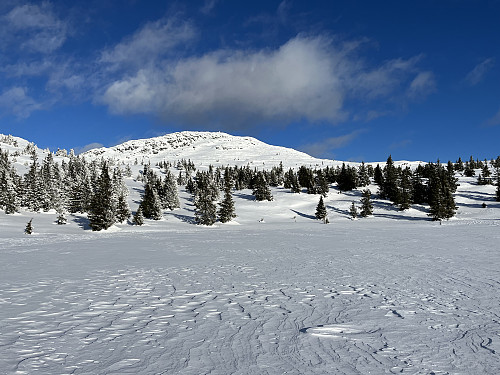 Svangkampen (1149 m).