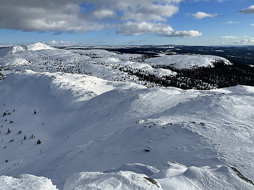 Fra Djupdalskampen (1125 m) mot sydøst. Svangkampen (1149 m) til venstre).