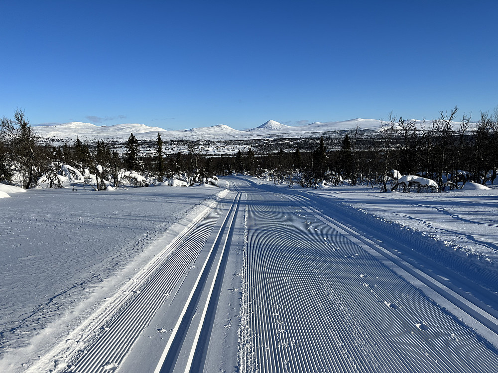 Tidlig februarmorgen på Venabygd og nyoppkjørte skiløyper. Venabygdsfjellet i bakgrunnen med karakteristiske Muen (1424 m) sentralt i bildet.
