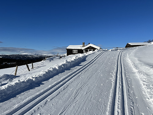 På skiløype ved Dynje.