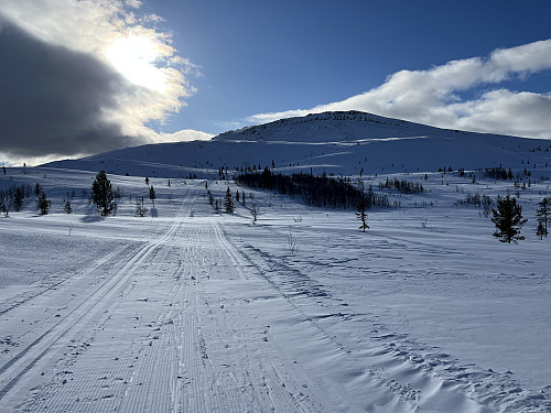 Fra skiløypen mot Svartfjellet (1154 m) i bakgrunnen.