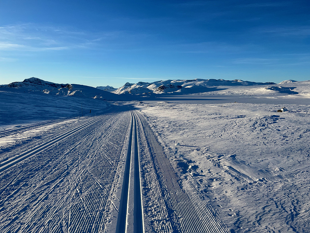 På skiløype Rød 1.