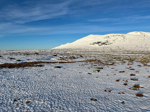 Fra Valdresflye (1389 m) mot vest.