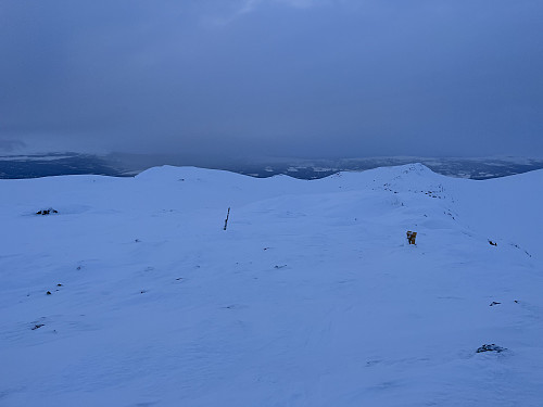 På toppen av Ruten (1516 m).