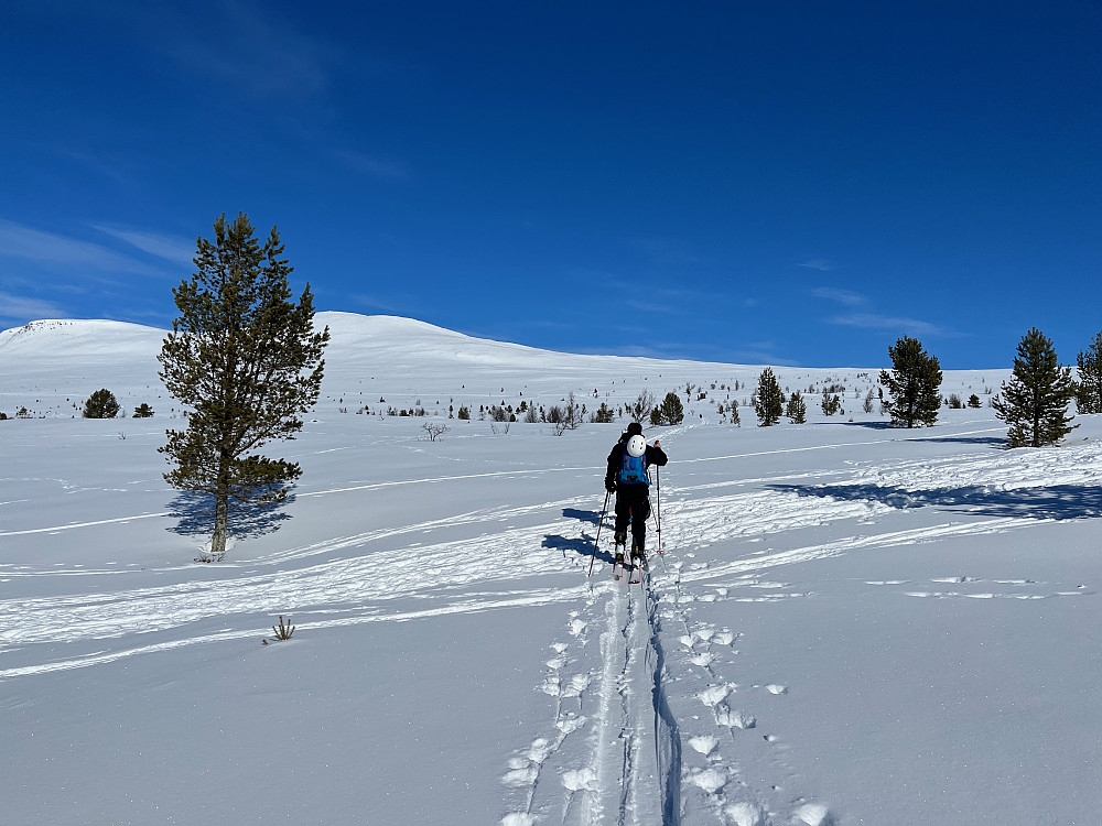 På vei mot Saukampen (1659 m).