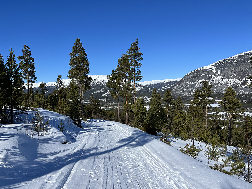På stølsveien opp til Skjellom.