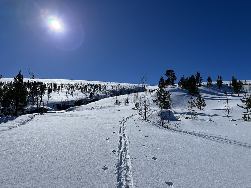Skispor ved Skjellom opp mot Tverrfjellet (1952 m).