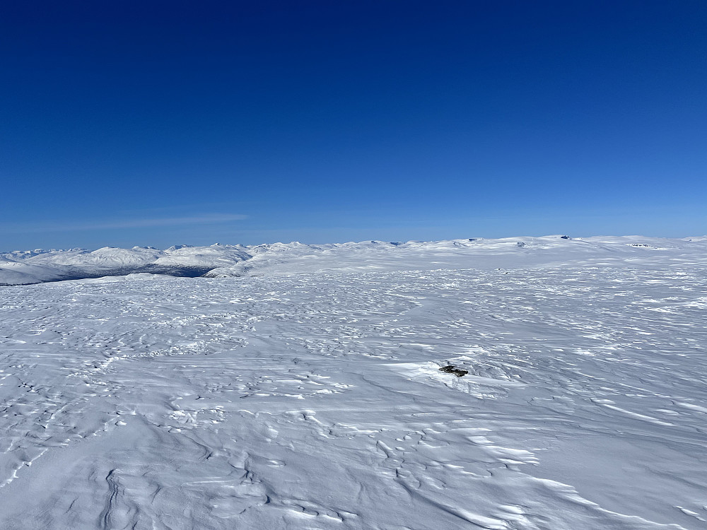 Fra Tverrfjellet (1952 m) med utsikt mot Reinheimen i nord.