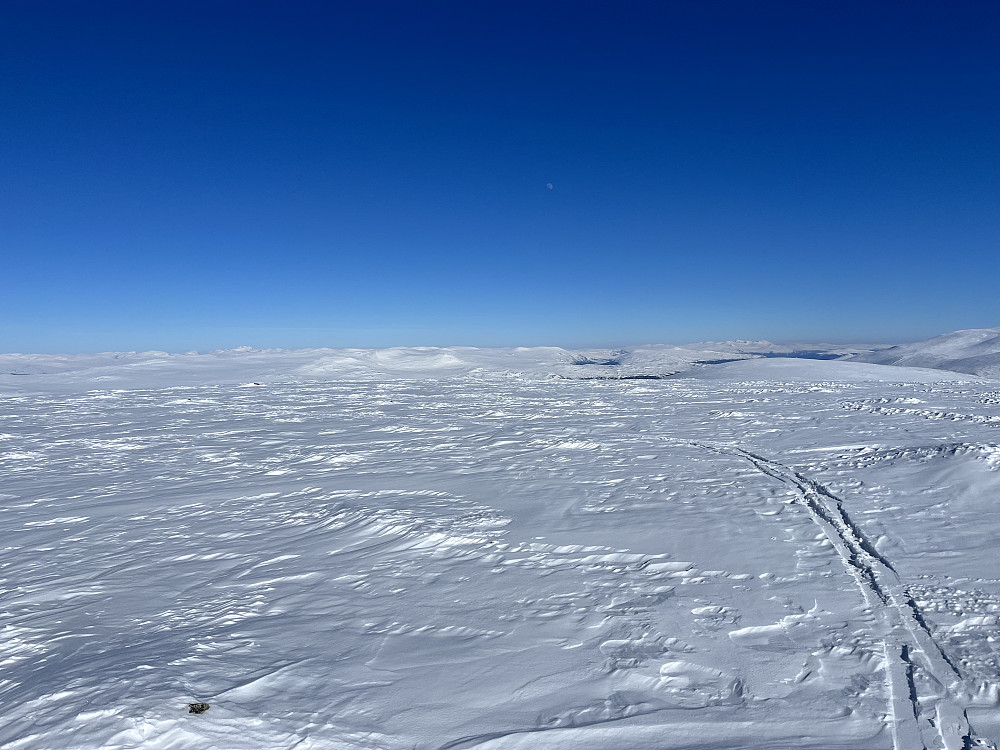 Fra Tverrfjellet (1952 m) mot øst.