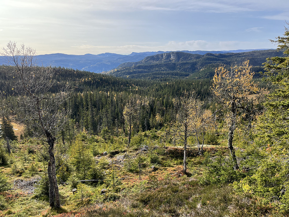 Utsikt mot sydvest fra nordvestryggen til Brennun (863 m).