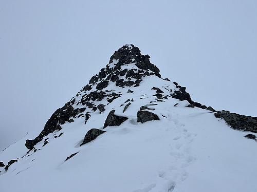 Nørdre Hellstugubreahesten (2139 m). Vi omgikk hammeren helt øverst til venstre.