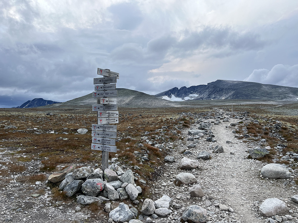 Stikryss ved Snøheim. Snøhetta til høyre i bakgrunnen.