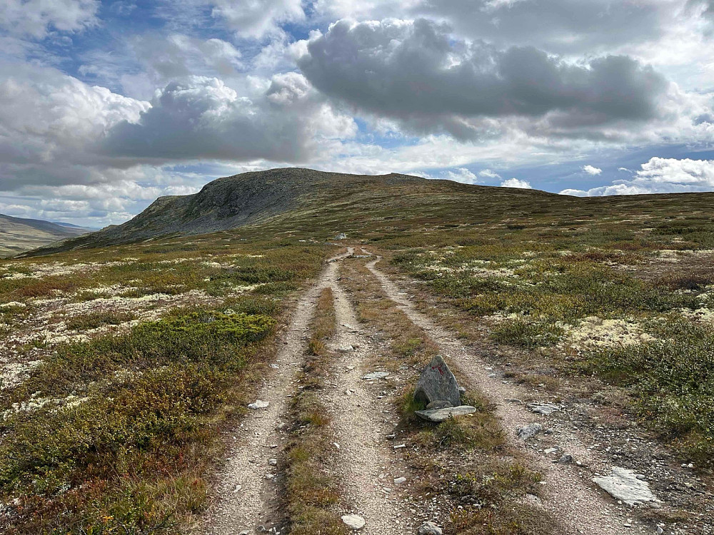 Bred sti i retning Søre Skorutberget (1309 m). 