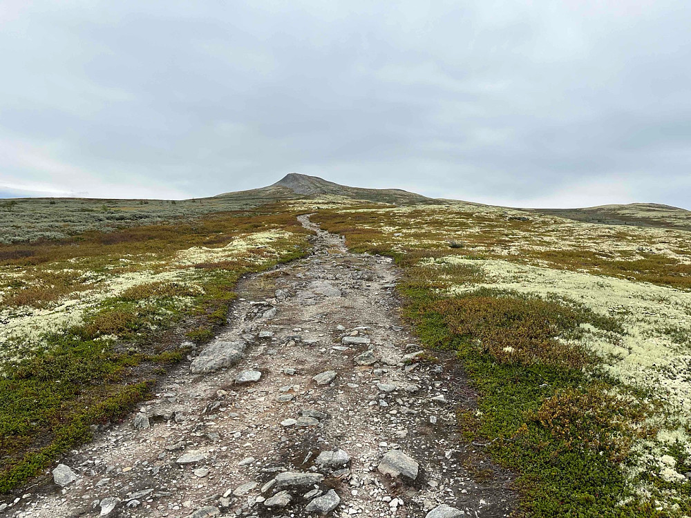Meget bred sti i retning Formokampen (1428 m), som ses i bakgrunnen.