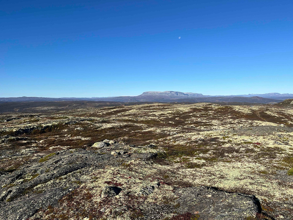 Fra Veslesanget (1194 m) mot Hallingskarvet i vest. Dagens andre tur gikk hit etterpå.