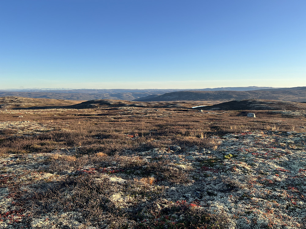 Fra Vedalshøgde (1195 m) mot Geilo i syd.