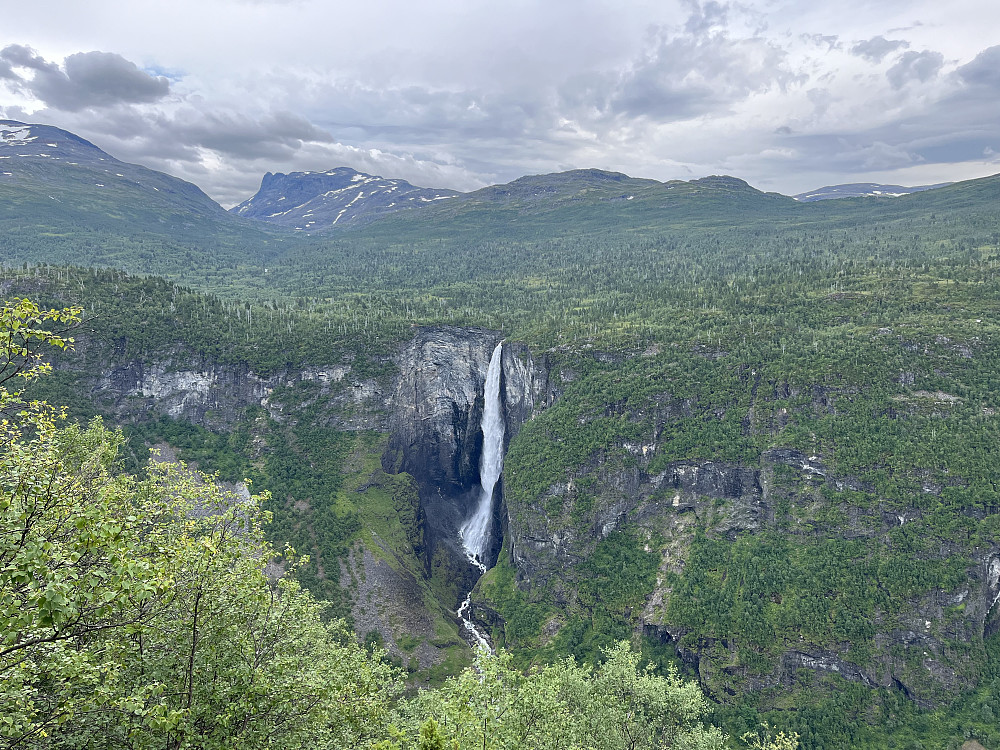 På returen ved Brendeteigen før Vetti Gard. Vettisfossen tar seg flott ut herfra.