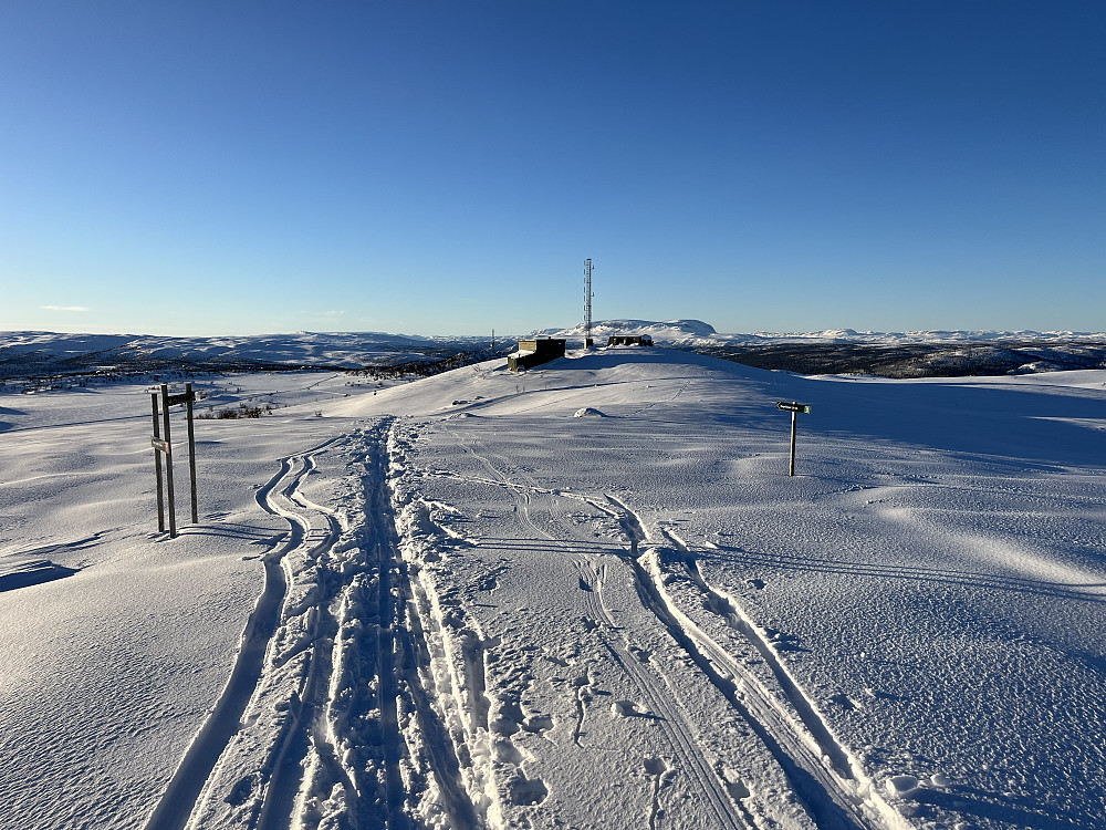 Fra Tjørnåsen (1167 m) mot Tjørnåsen Nordvest.