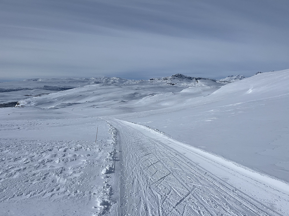På skiløype Rød 3 like ved Stryteberg.