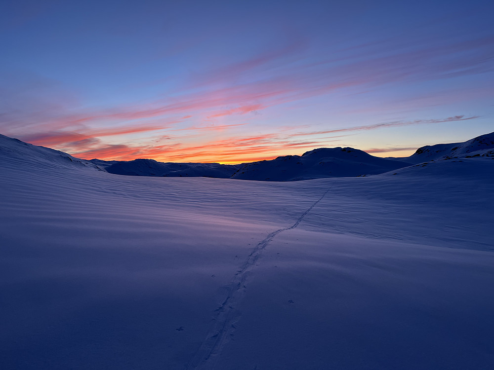 På returen like før nedkjøringen til Storeskardvatnet (893 m).