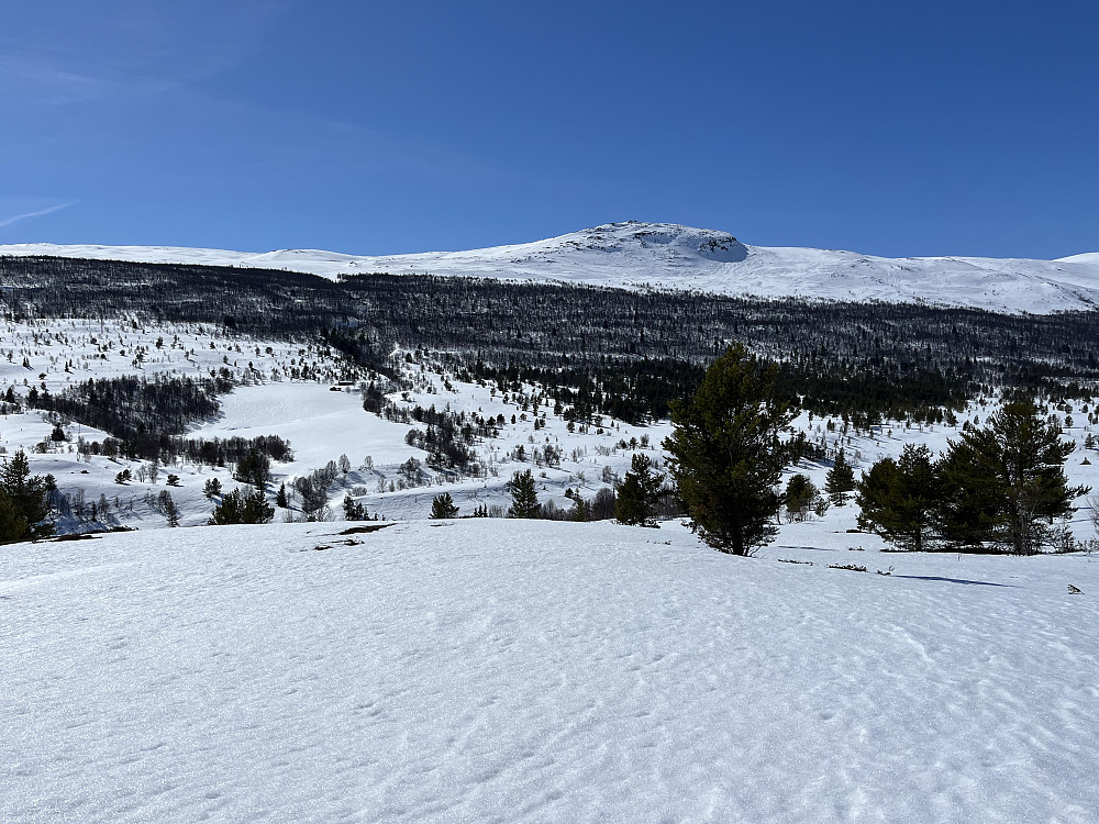 Skaihøe (1590 m).