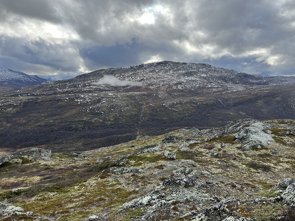Mot Såleggi (1540 m).