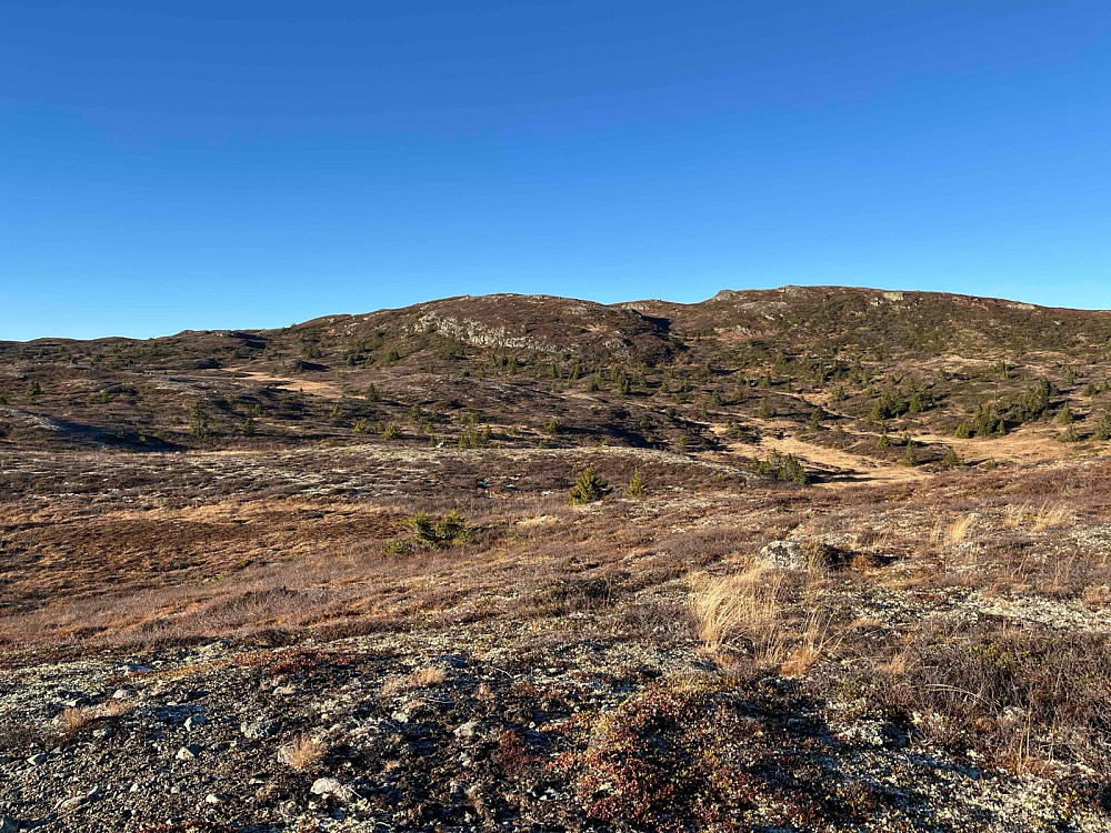 Vardefjell (1182 m).
