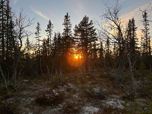 Solnedgang på Flatdalsåsen Nordøst (985 m).