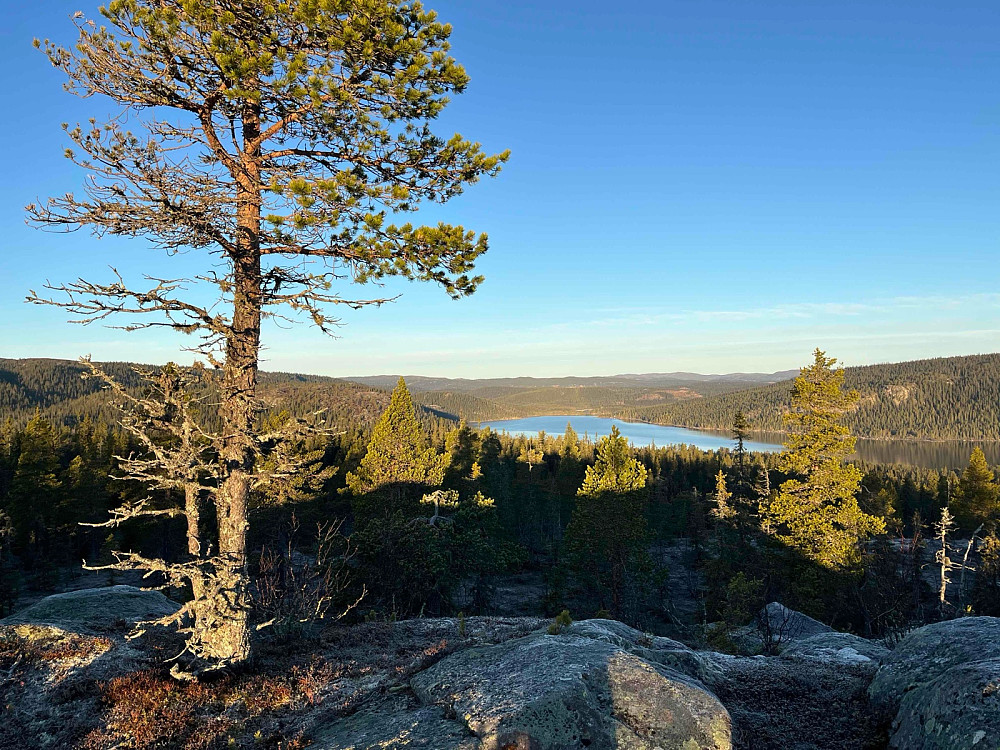 Fra Trytetjernåsen (894 m) mot Strøen (749 m) i nord.