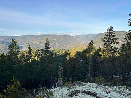 Fra Rudsåsen Nordvest (786 m) mot nordvest.