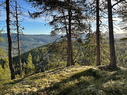 Fra Rudsåsen mot øst.