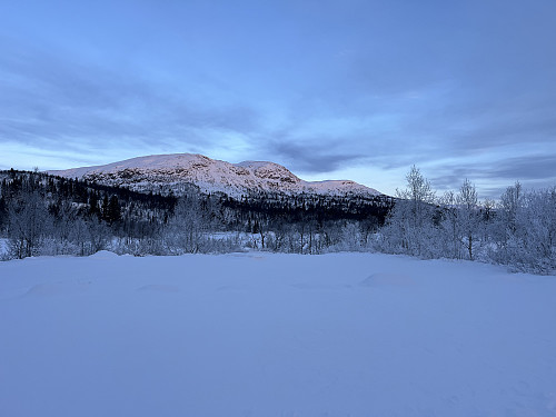 Røssjøkollane (1287 m).