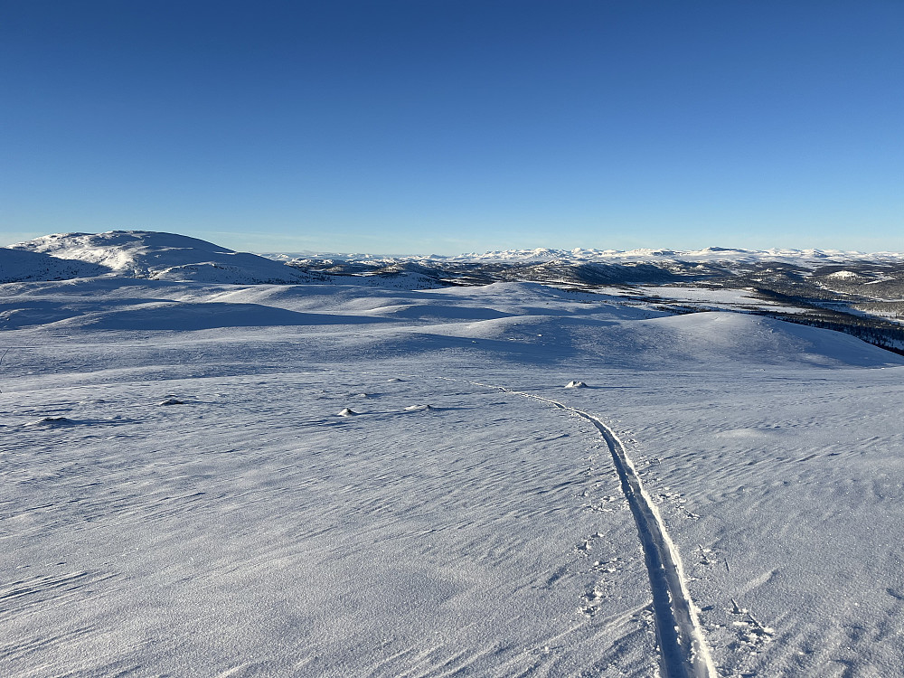 Like nedenfor toppen av Snuen (1179 m). Utsikt mot Jotunheimen i vest.