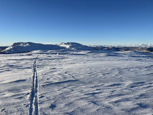 Utsikt fra Snuen (1179 m) mot Røssjøkollane (1287 m) i vest.