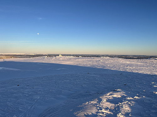 Utsikt mot øst fra Røssjøkollane (1287 m).