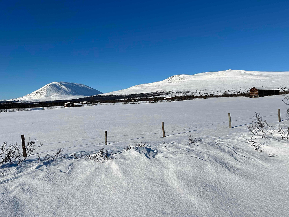 Fra skiløypen på Breistulvegen med utsikt mot Heidalsmuen (1745 m) og Saukampen (1659 m).