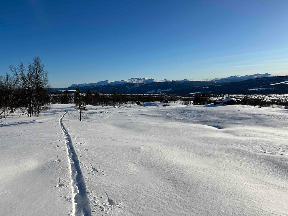 Skispor gjennom bjørkeskogen nordvest for Breistulen.