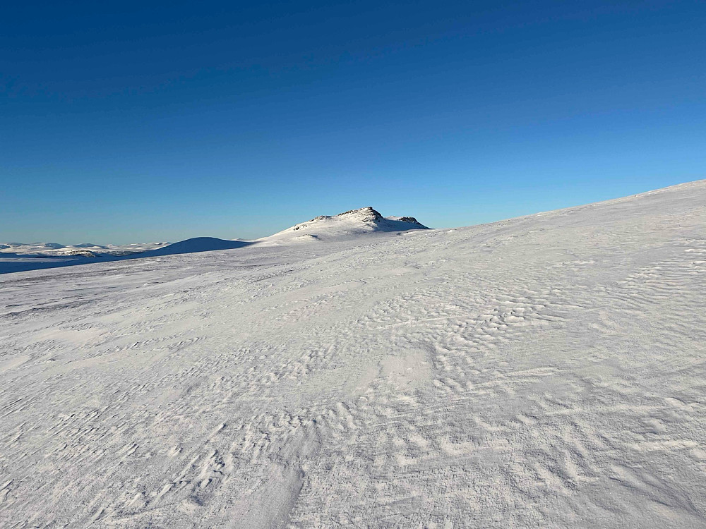 Direkte kurs mot Kviknegråhø (1427 m).