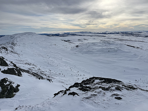 Utsikt fra Leppkampen (1340 m) mot syd.