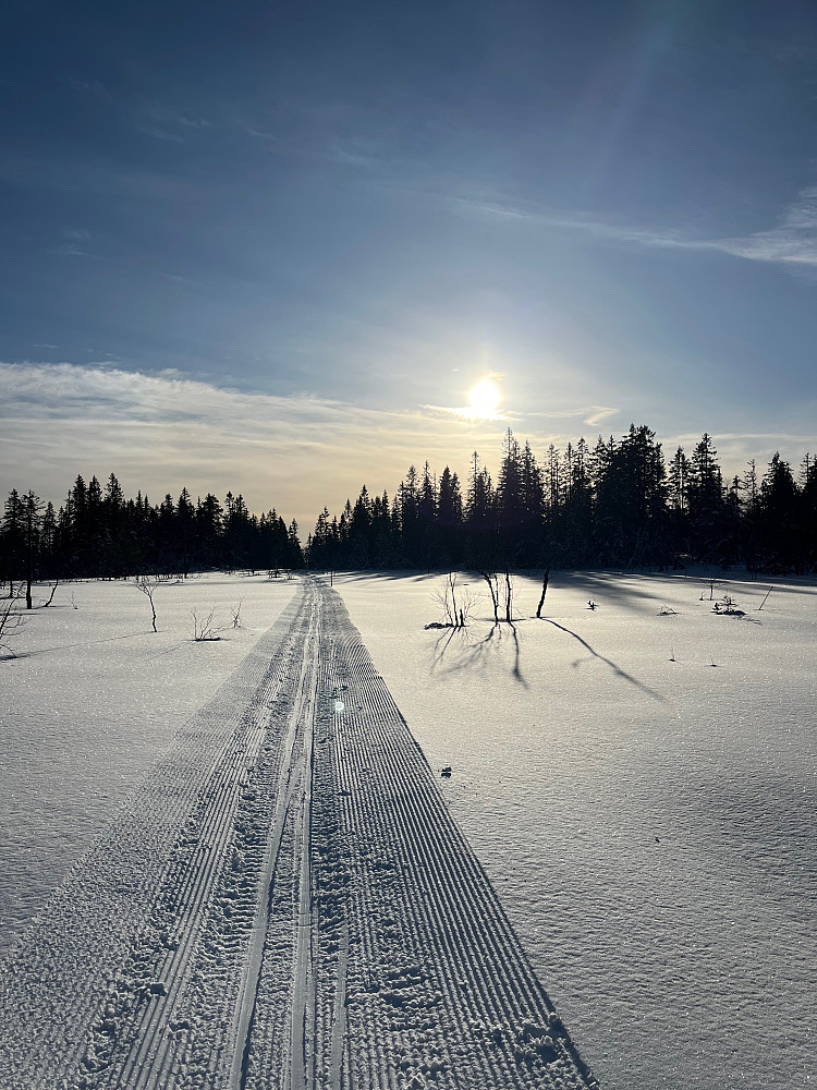På scooterløypen mellom Løvlia og Gyrihaugen (682 m).