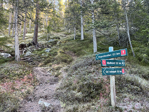 Stikryss der avstikkeren til Dugurdsnatten tar til venstre her.