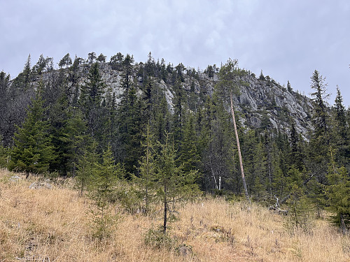 Svartetjernåsen Sør (917 m).