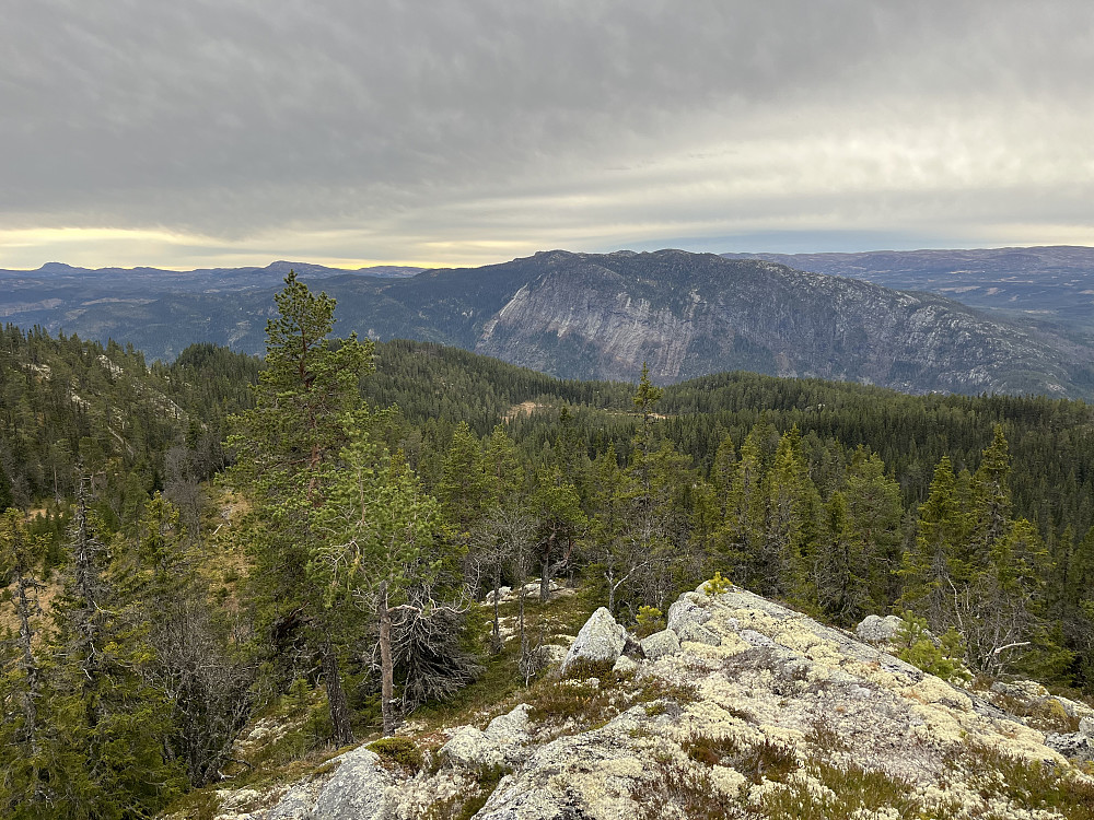 Utsikt fra Svartetjernåsen (917 m) mot syd.