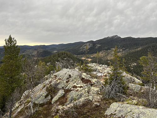 Fra Svartetjernåsen (917 m) mot nord. I bakgrunnen ses Jordesmyrnatten (1136 m).