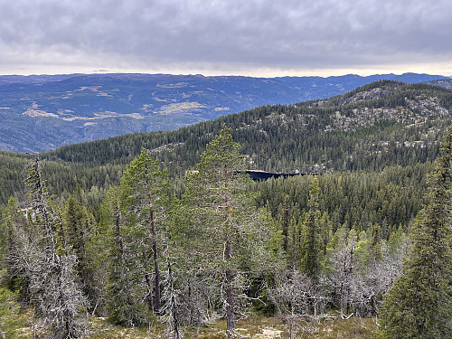 Fra Svartetjernåsen (917 m) mot sydvest.