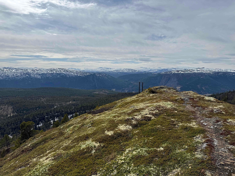 Fra Tolstadkampen (1042 m) mot vest.