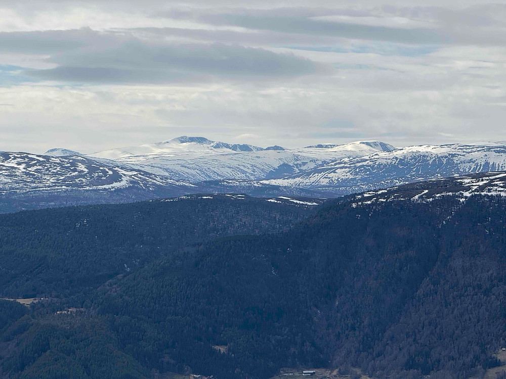 Mot Jotunheimen.