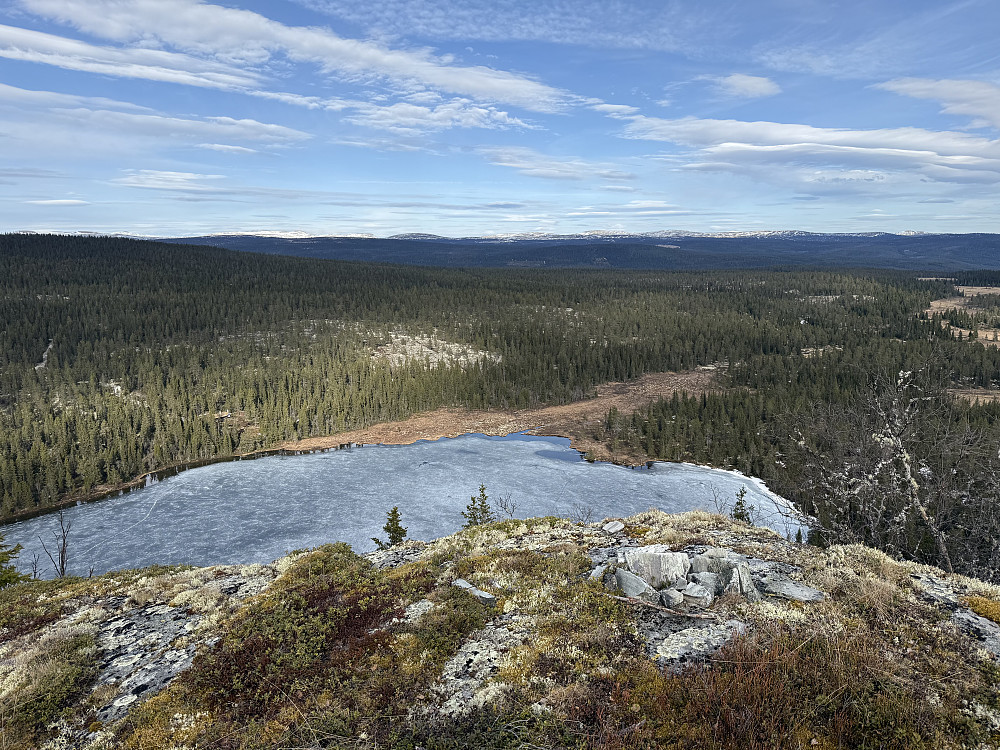 Bålplass med utsikt ved toppunktet av Åborsjøkampen (886 m).