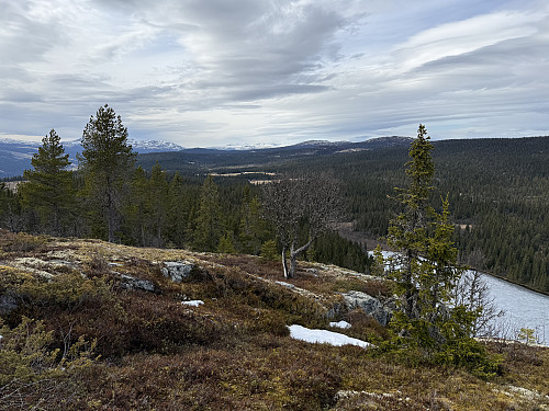 Utsikt mot Rondane.