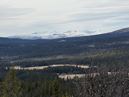 Utsikt mot Rondane.